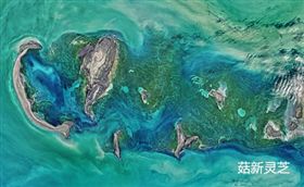 多彩地球:太空拍摄地表画面 菇新灵芝孢子粉 多彩地球:太空拍摄地表画面 菇新灵芝孢子粉