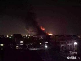 事发现场 菇新灵芝孢子粉