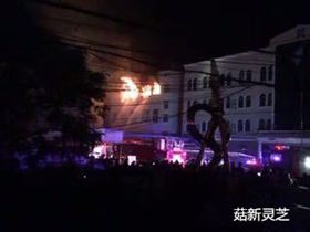 事发现场 菇新灵芝孢子粉