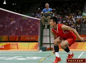 菇新灵芝孢子粉快讯 谌龙夺冠