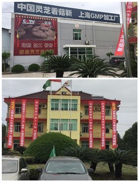 菇新GMP加工厂厂区 菇新GMP加工厂厂区