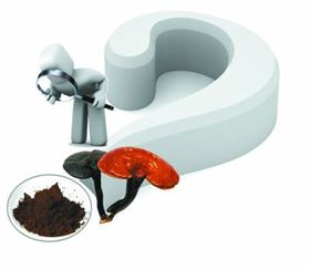 破壁灵芝孢子粉真的能治疗疾病吗