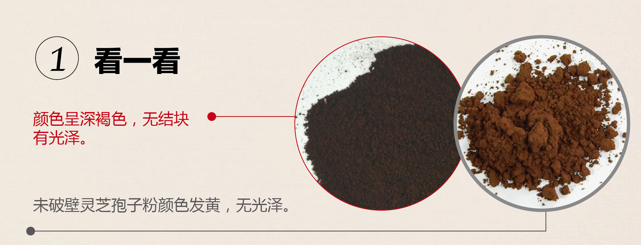 菇新破壁灵芝孢子粉辨别方法