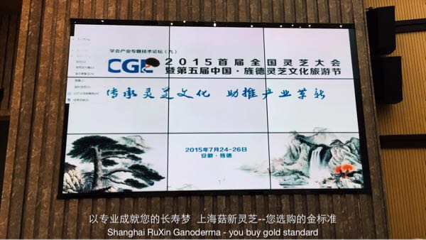 菇新灵芝