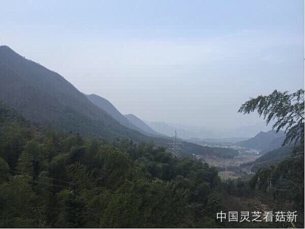 2016.1.14 菇新灵芝黄山基地考察报道