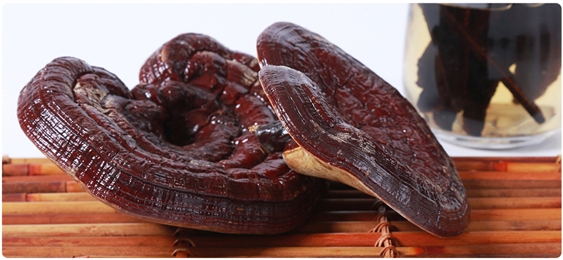 菇新 赤灵芝 韩芝