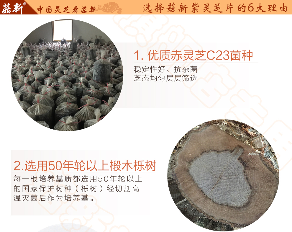 菇新 赤灵芝切片 韩芝片