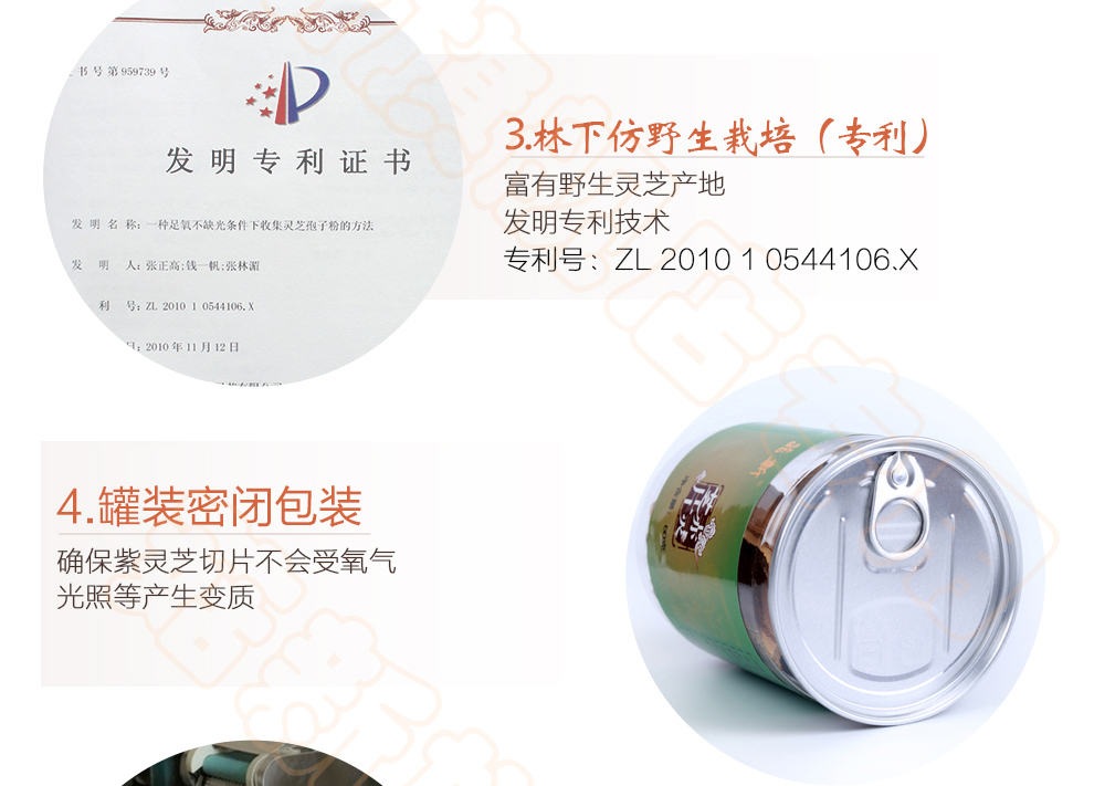 菇新 赤灵芝切片 韩芝片