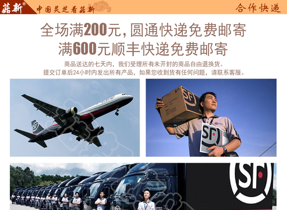 菇新 赤灵芝切片 韩芝片