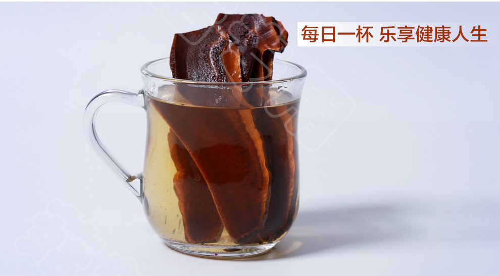 菇新 赤灵芝切片 韩芝片