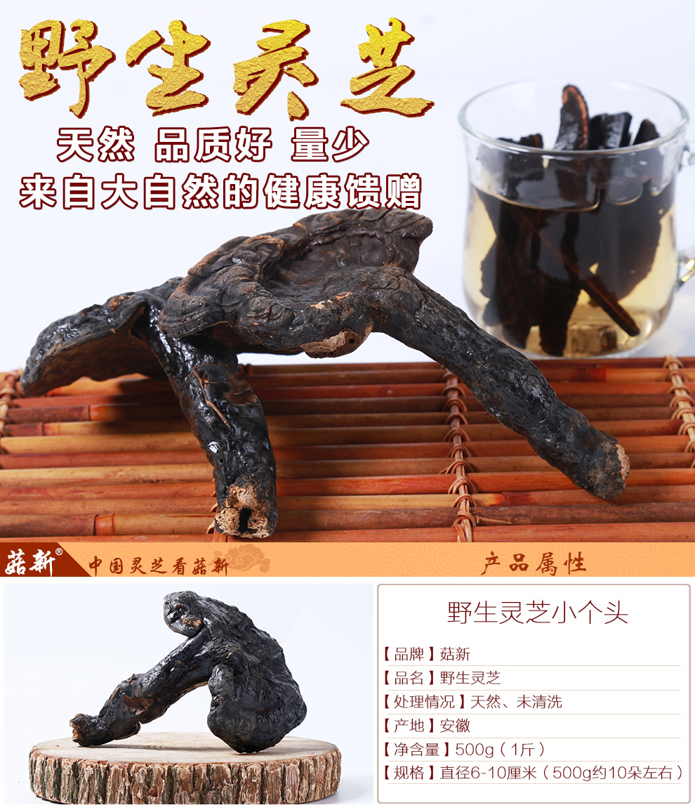 上海菇新 野生灵芝 小个头