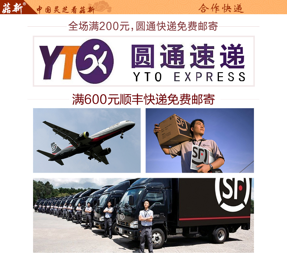 上海菇新 野生灵芝 小个头