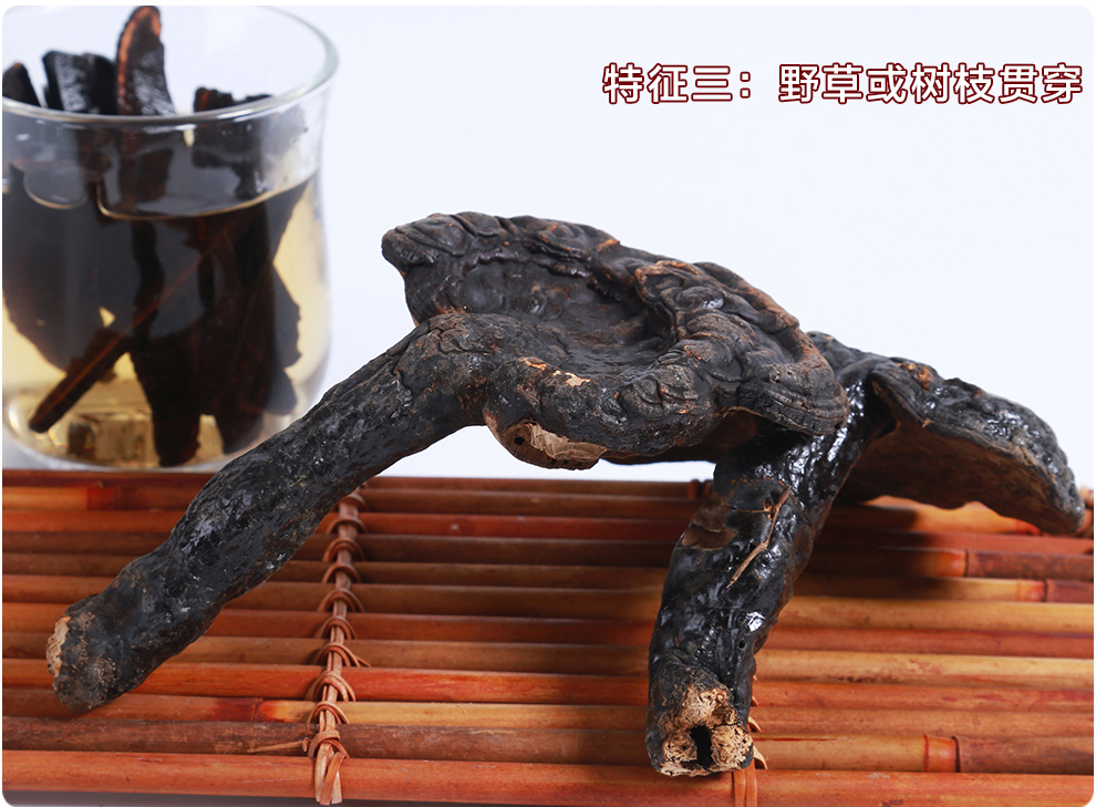 上海菇新 野生灵芝 小个头