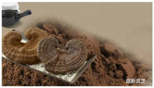 灵芝破壁孢子粉 灵芝破壁孢子粉