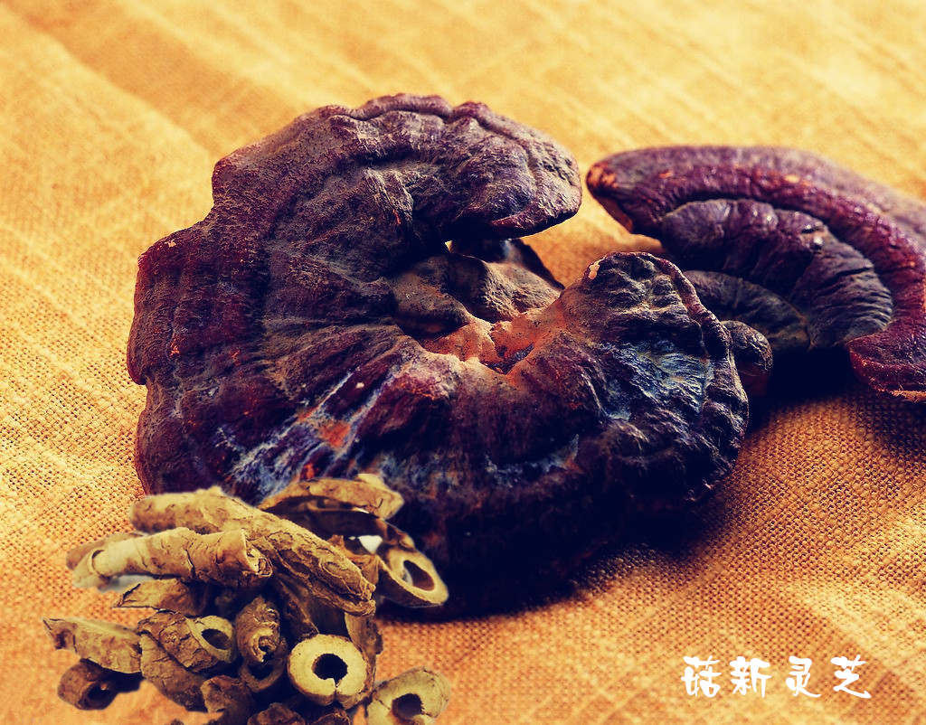 灵芝孢子粉时灵芝的种子