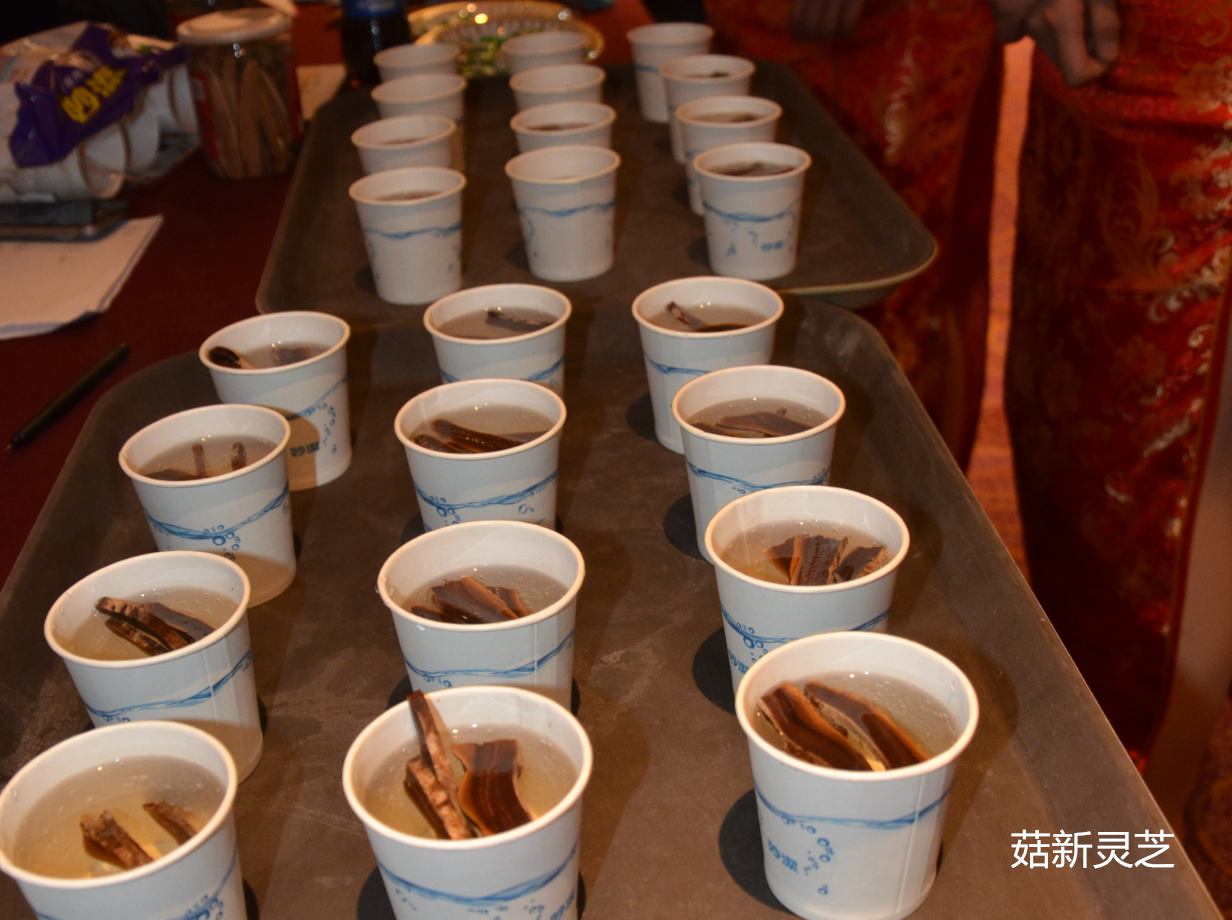 菇新为与会人员准备灵芝茶