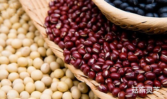 红豆可帮助癌症患者利尿