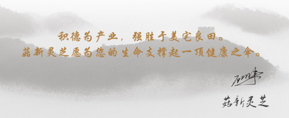 菇新创始人格言 