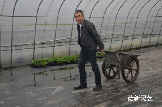 菇新创始人顾越峰先生亲自参与到种植基地的建设