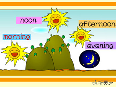 破壁灵芝孢子粉早中晚服用3次即可