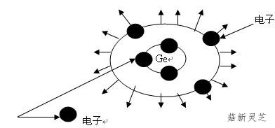 灵芝孢子粉中含有天然有机锗