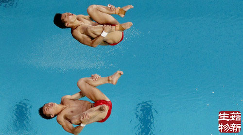 里约奥运跳水池池水变绿