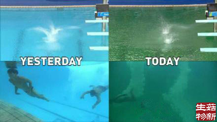 里约奥运跳水池池水变绿前后两天对比