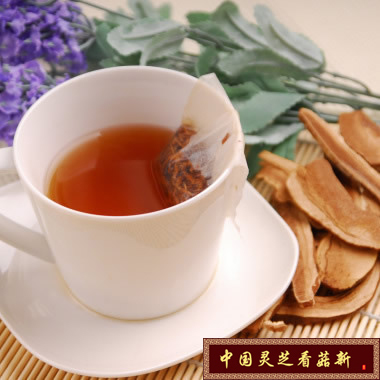 灵芝煮水 灵芝煮水