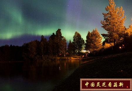 8月23日晚 瑞典Erikslund村的空中出现极光景观