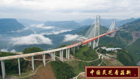 世界第一高桥合龙 距江面高差565米