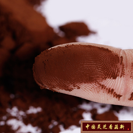 破壁灵芝孢子粉十分细腻