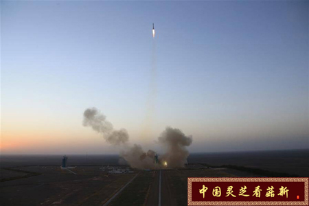 菇新破壁灵芝孢子粉资讯：神州十一号正式升空