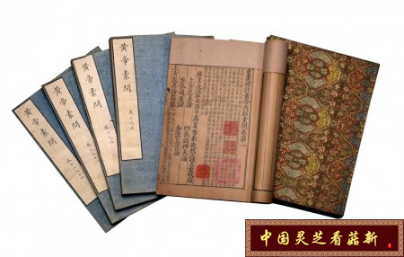 灵芝破壁孢子粉自古就是良方 灵芝破壁孢子粉自古就是良方