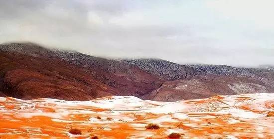 撒哈拉沙漠雪景