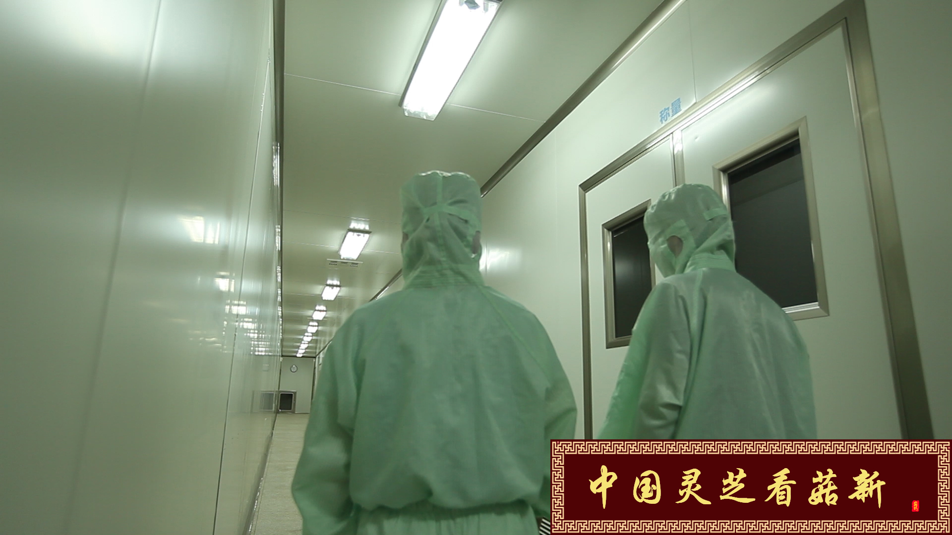 菇新GMP加工厂十万级无尘车间