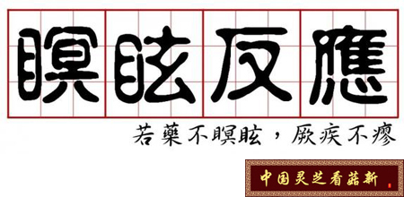 灵芝孢子粉的瞑眩反应