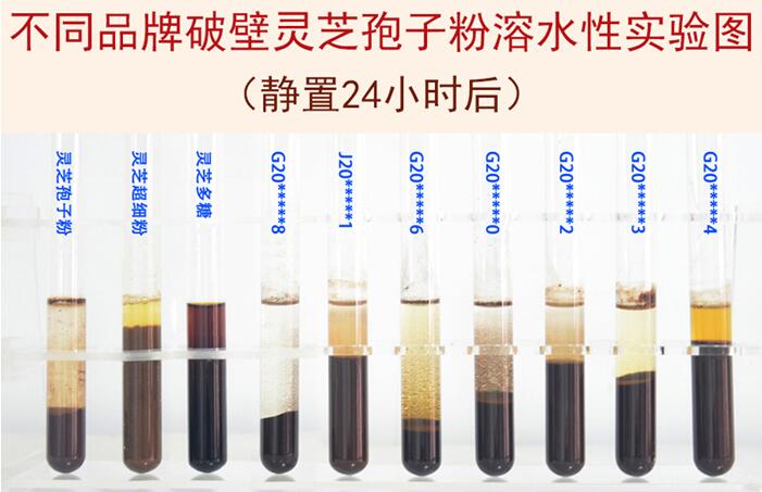 不同品牌破壁灵芝孢子粉溶水性对照