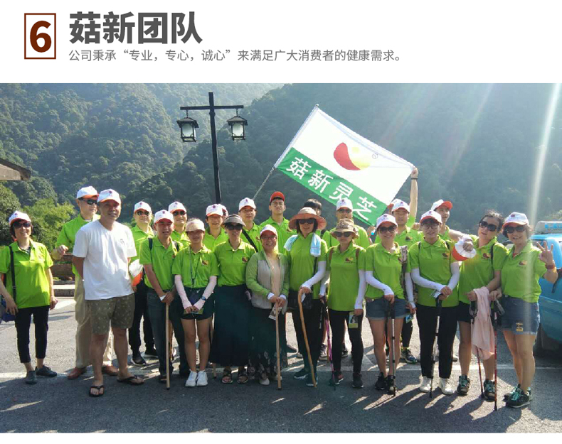 菇新 大汉灵芝三圣胶囊