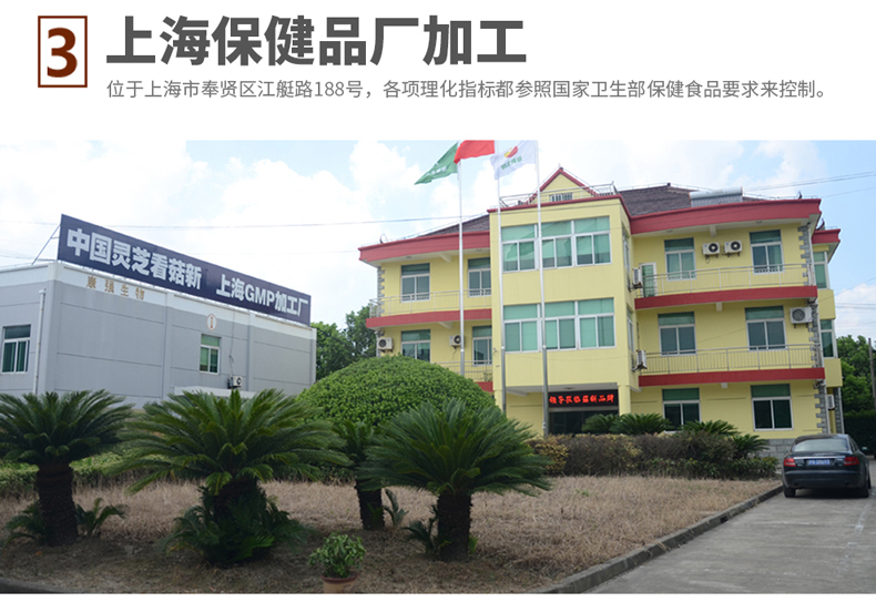 菇新 大汉灵芝三圣胶囊