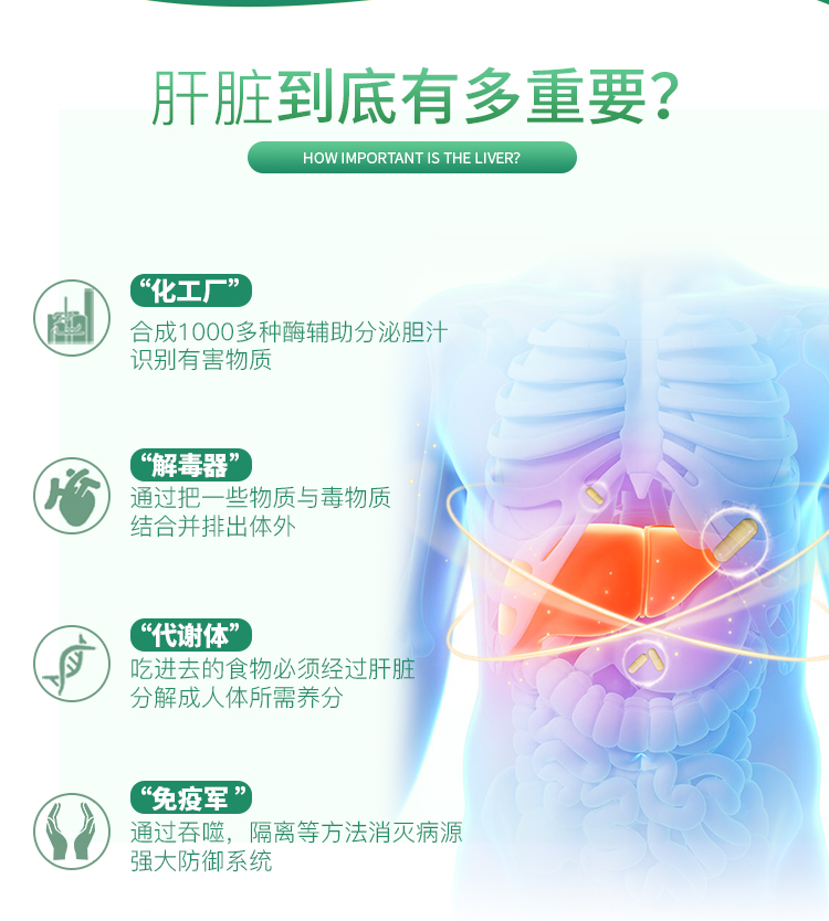 大汉灵芝三圣胶囊