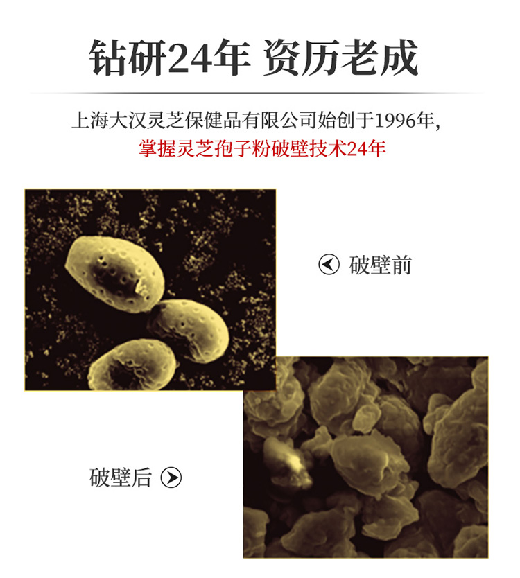 大汉牌灵芝破壁孢子冲剂126g