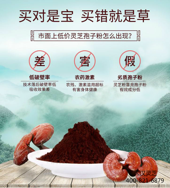 破壁灵芝孢子粉很苦可能是劣质产品