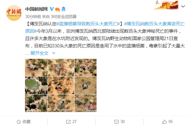 硫磺八角二氧化硫超原国标16倍